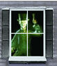 M61281 Virtual Holiday Projector Christmas And Halloween Movies Cool Gift