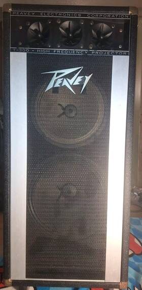 T-300 Peavey Peavy High Frequency Projector Great Condition Sounds Awesome