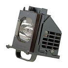 Phi-915b403001 Mitsubishi Philips Rear Projection Lamp For 675650023220