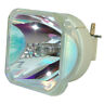 Pro9500 Viewsonic Oem Replacement Lamp For Projector Philips Inside