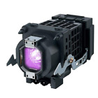 Xl-2400-cm2 Molvgoc Replacement Projection Tv Lamp For Sony 690164323529