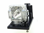 Vivitek DW-6035 Original Inside Lamp Replaces 5811100818-S. Fixed Price $156.97.
