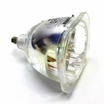 Original Bare Lamp For Optoma SP.82902.001. Fixed Price $114.60.