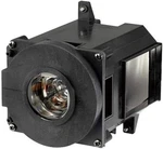 Battery Technology Lamp For Nec NPPA500X PA500U PA550W N21L. Fixed Price $96.99.