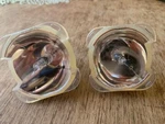 2X Genuine Oem, Osram P-vip 250/1.3 E21.8 23.87109.021A Projector Lamp Bulb. Fixed Price $59.95.
