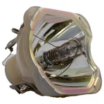 Al Series Lamp (bulb Only) For The Sanyo PLC-XU88W Projector 90 Day Warranty. Fixed Price $42.99.