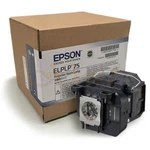Genuine Projector Lamp Module For Epson H491A. Fixed Price $231.22.