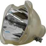Bare Bulb For The Vidikron Model 70 With Original High-quality. Fixed Price $79.99.