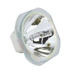 Original Ushio Bare Projector Lamp For Epson ELPLP30. Fixed Price $102.99.