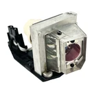 Ctlamp RLC-059/RLC059 Projector Bulb With Phoenix Original Burner W/housing. Fixed Price $37.83.