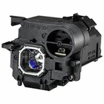 NP33LP-BTI Projector Lamp For Nec. Fixed Price $84.88.