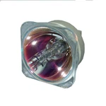 Al Series Lamp (bulb Only) For The Benq SX914 Projector - 90 Day Warranty. Fixed Price $199.99.
