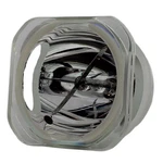 Original Replacement Lamp & Housing For The Viewsonic PJ875 Projector. Fixed Price $84.99.