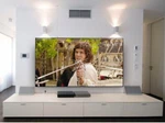 New 72 Projector Screen 3D Black Diamond Zero Edge HD-90. Fixed Price $400.00.