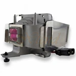 Original Bulb Inside Lamp Module For Proxima C250W. Fixed Price $142.11.