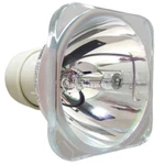 Replacement Projector Bare Bulb For Optoma BL-FU190D GT760A X305ST W303ST. Fixed Price $58.50.