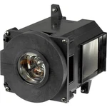 Technology Projector Lamp NP21LPBTI. Fixed Price $176.59.