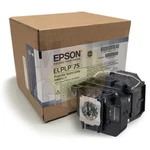 Genuine Projector Lamp Module For Epson H491A. Fixed Price $231.22.