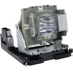 Jaspertronics Lamp & Housing For Vivitek D927TW Projectors - 1 Year Warranty. Fixed Price $98.99.