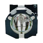 Infocus SP-LAMP-LP4Z 1000HRS 270W Replacement Metal Halide For LP425Z 435Z. Fixed Price $32.58.