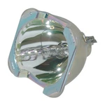 Oem 400-0750-00 Lamp & Chip (no Housing) For Barco Projectors With Philips Bulb. Fixed Price $219.99.