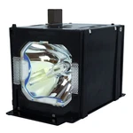 Jaspertronics Lamp & Housing For Runco VX-5000D Projectors 1 Year Warranty. Fixed Price $142.99.