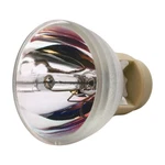Al Series Lamp (bulb Only) For The Vivitek D516 Projector - 90 Day Warranty. Fixed Price $44.99.
