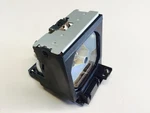Sony Original Lamp & Housing For The VPL-PX21 Projector Year Warranty. Fixed Price $199.99.
