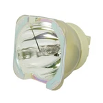 Oem Lamp Only For The Digital Projection Mercury 930 1080P 3D Projector. Fixed Price $309.99.