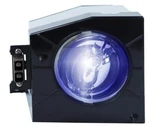 Aurabeam Star-lamp D95-LMP Projection Television Replacement With Housing. Fixed Price $75.00.