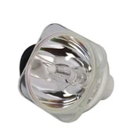 Al Series Bulb Only (no Housing) For The Sharp XG-SV100W Projector. Fixed Price $124.99.