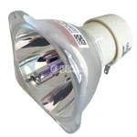 Replacement Projector Bulb For Optoma BL-FU240A HD25-LV EH300 DH1011 HD30B. Fixed Price $66.00.