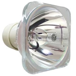 Replacement Projector Bulb For Optoma BL-FU190C S303 W303 X303 EPX313 EPW313. Fixed Price $58.50.