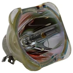 Lamp (bulb Only) For The Viewsonic PG800W Projector Powered By Ushio. Fixed Price $154.99.